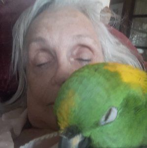 Meet your Posher, Bonnie